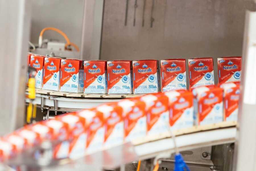 Unium é a segunda maior produtora de leite do país pelo segundo ano consecutivo