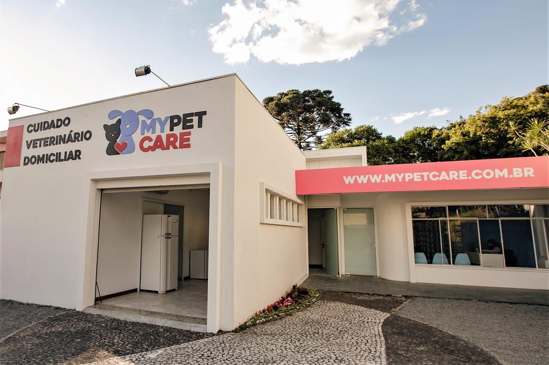 Primeiro serviço de cuidado domiciliar para pets do Brasil inaugura em Curitiba
