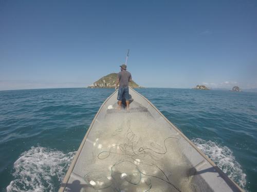 Negócio social Olha o Peixe! fortalece pescadores do litoral paranaense com clube de assinatura de pescados
